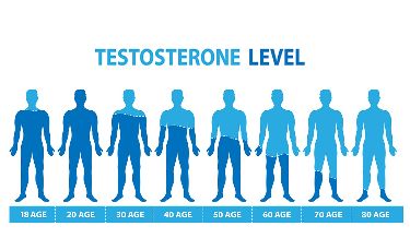 Testosterone Levels by Age: The Complete Chart for Men + What Your Numbers Actually Mean