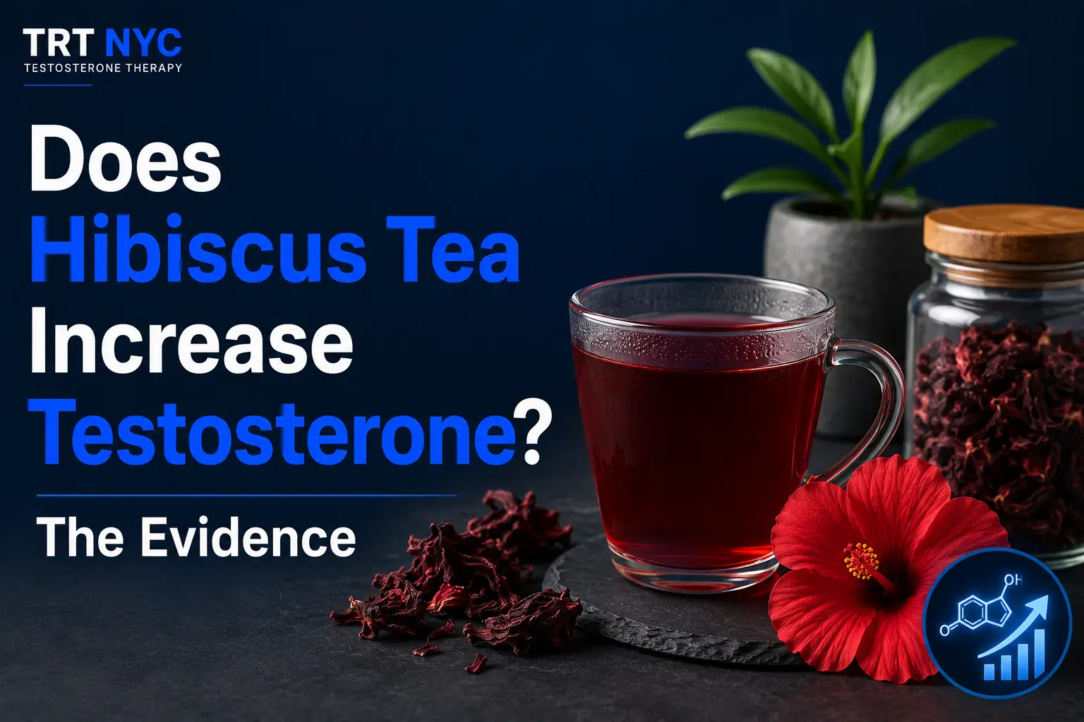 Does Hibiscus Tea Increase Testosterone? The Evidence