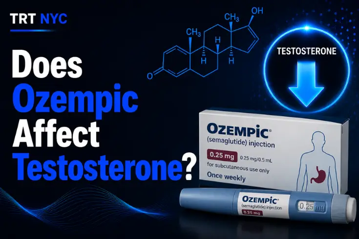 Does Ozempic Affect Testosterone? What the Research Shows